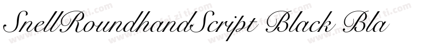 SnellRoundhandScript Black BlackI字体转换
